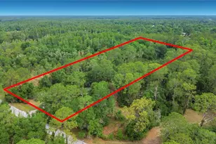 1210 Pinebend Dr, Lakeland, FL 33809 - Photo 1