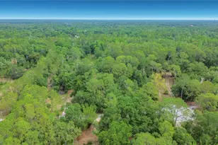 1210 Pinebend Dr, Lakeland, FL 33809 - Photo 4