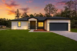 9651 W Pineview Way, Dunnellon, FL 34434 - Photo 1