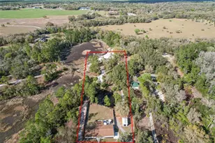 27035 State Road 44, Eustis, FL 32736 - Photo 66