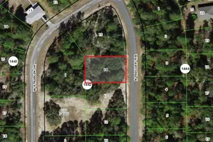 11126 N Trigger Terrace, Citrus Springs, FL 34433 - Photo 1