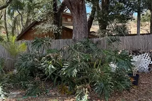 546 Hillcrest St, Altamonte Springs, FL 32701 - Photo 14