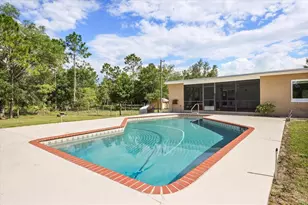 20963 E Colonial Dr, Christmas, FL 32709 - Photo 8
