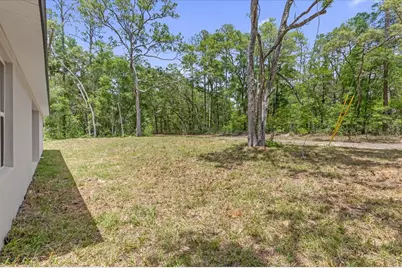 1377 W Alexander Drive, Citrus Springs, FL 34434 - Photo 42