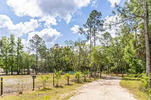 723 River Run Rd, Osteen, FL 32764 - Photo 18