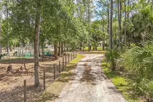 723 River Run Rd, Osteen, FL 32764 - Photo 34
