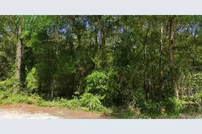 Ne 6th Lane Road, Silver Springs, FL 34488 - Photo 1