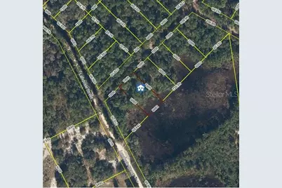 103 Brierly Street, Georgetown, FL 32139 - Photo 2