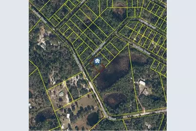 103 Brierly Street, Georgetown, FL 32139 - Photo 4