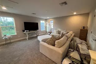 9173 Warm Spgs Cir, Parrish, FL 34219 - Photo 8