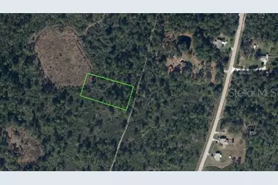 734 Dolphin Avenue, Lake Placid, FL 33852 - Photo 4