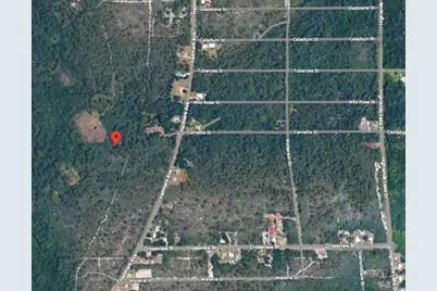 734 Dolphin Avenue, Lake Placid, FL 33852 - Photo 2