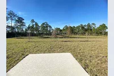 3947 Willowbrook Drive, Edgewater, FL 32141 - Photo 10
