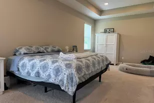 7749 Bronze Oak Dr, Wesley Chapel, FL 33545 - Photo 22