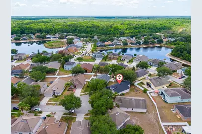 15406 Pepper Pine Court, Land O Lakes, FL 34638 - Photo 30