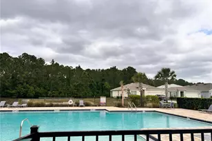 1267 Iguana Loop, Davenport, FL 33897 - Photo 58