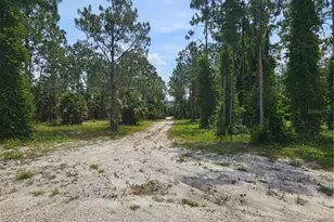 Geneva Woods Cove, Geneva, FL 32732 - Photo 2