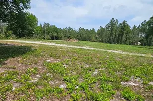Geneva Woods Cove, Geneva, FL 32732 - Photo 8
