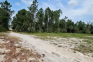 Geneva Woods Cove, Geneva, FL 32732 - Photo 10