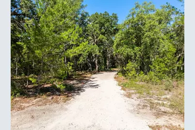 Mor Tay Trail, Kissimmee, FL 34747 - Photo 10