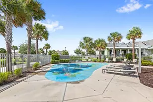3324 Canna Lily Pl, Clermont, FL 34711 - Photo 44