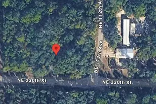 N Situs, Fort Mc Coy, FL 32134 - Photo 1
