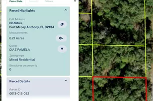 N Situs, Fort Mc Coy, FL 32134 - Photo 1