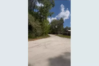 No Situs, Fort Mc Coy, FL 32134 - Photo 4
