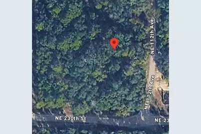 No Situs, Fort Mc Coy, FL 32134 - Photo 2