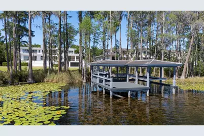 9312 Blanche Cove Dr, Windermere, FL 34786 - Photo 84