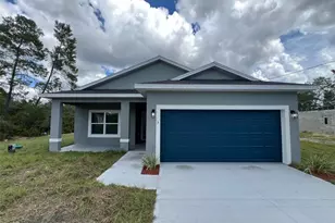 3 Fisher Pl Dr, Ocklawaha, FL 32179 - Photo 1