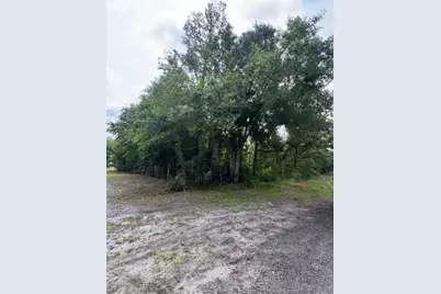 1249 Sable Palm Drive, Christmas, FL 32709 - Photo 1