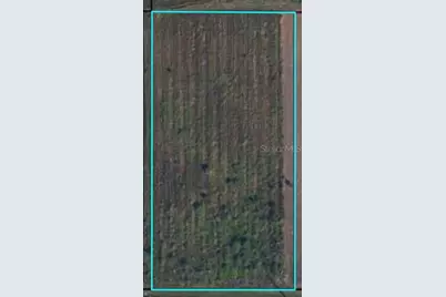 St Rd 62, Bowling Green, FL 33834 - Photo 2