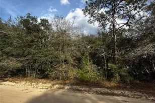 13-10-24-4079-0060-0040, Interlachen, FL 32148 - Photo 1