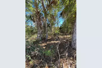 Taplin Ave, North Port, FL 34291 - Photo 10