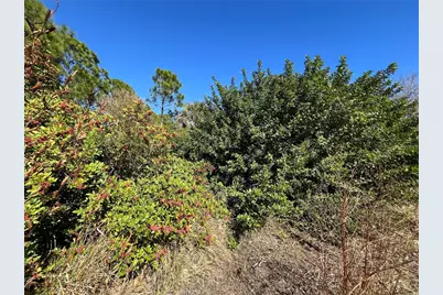 Taplin Ave, North Port, FL 34291 - Photo 14