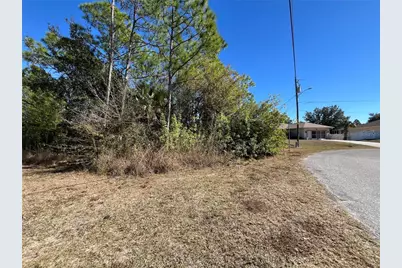Taplin Ave, North Port, FL 34291 - Photo 2