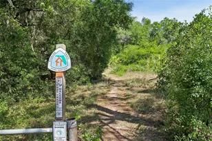 18930 NE 143rd Ave, Fort Mc Coy, FL 32134 - Photo 28