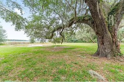 13395 SE 106th Avenue, Ocklawaha, FL 32179 - Photo 42