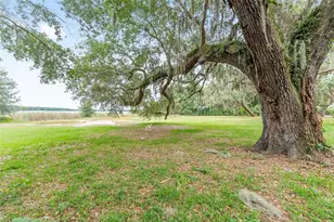 13395 SE 106th Ave, Ocklawaha, FL 32179 - Photo 42