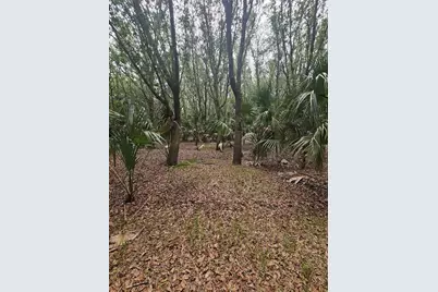 601 Howard Avenue, Oviedo, FL 32765 - Photo 6