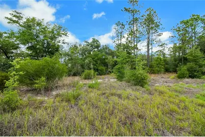 20831 SW 59th Lane, Dunnellon, FL 34431 - Photo 90