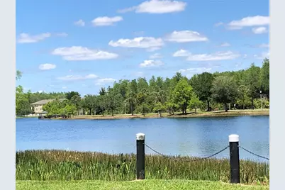 10716 Dawson Lily Way #39A, Orlando, FL 32832 - Photo 42