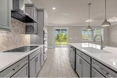 17315 Million Lakes Court, Clermont, FL 34714 - Photo 16