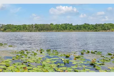1841 Lake Spier Drive, Winter Park, FL 32789 - Photo 4