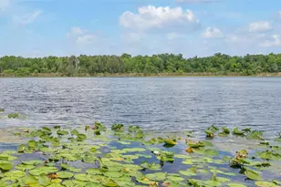 1841 Lake Spier Dr, Winter Park, FL 32789 - Photo 4