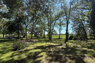 6555 SW 165th Ct, Ocala, FL 34481 - Photo 30