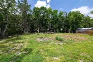 25031 Antler St, Christmas, FL 32709 - Photo 24