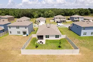 5208 Greenheart Ave, Mount Dora, FL 32757 - Photo 28