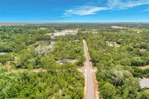 31825 Nutmeg Ave, Eustis, FL 32736 - Photo 56